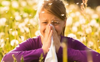 Surviving Allergy Season: 10 Natural Ways to Help